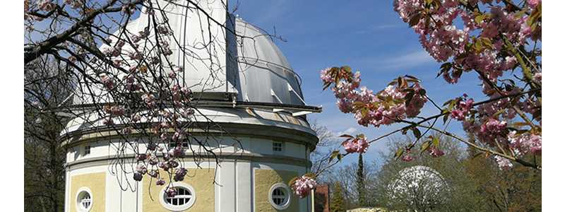 images/02_events/08421-zierkirschen-wolfschmidt-20210509-300-neu.jpg#joomlaImage://local-images/02_events/08421-zierkirschen-wolfschmidt-20210509-300-neu.jpg?width=800&height=300
