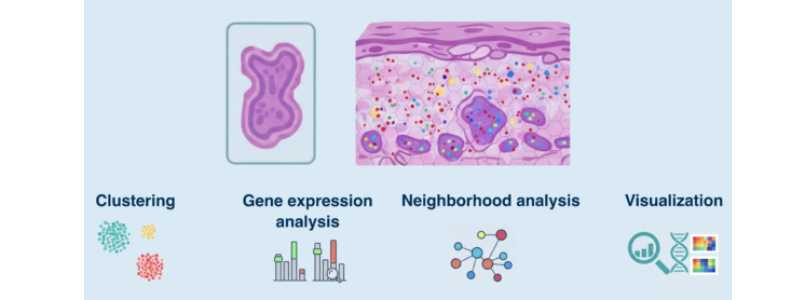 images/02_events/Graphic_SpatialTranscriptomicsWorkshop-600x278.jpg#joomlaImage://local-images/02_events/Graphic_SpatialTranscriptomicsWorkshop-600x278.jpg?width=800&height=300
