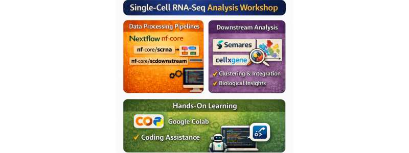 images/02_events/workshop_intro_scrna_grabstract-600x600.jpg#joomlaImage://local-images/02_events/workshop_intro_scrna_grabstract-600x600.jpg?width=800&height=300